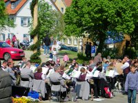 Maibaumaufstellung 2009 034_qg